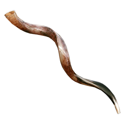 Yemenite Shofar -  43" - 47" (Imperfect)